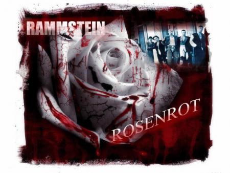 Rosenrot >>> Trop Belle Parole